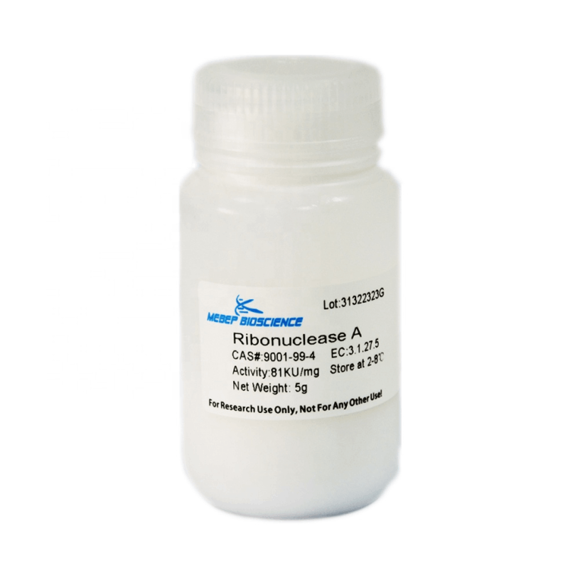 RNase A, RNase 1, Lyophilized Powder